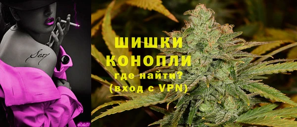 эйфоретик Белокуриха