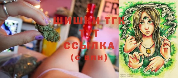 эйфоретик Белокуриха