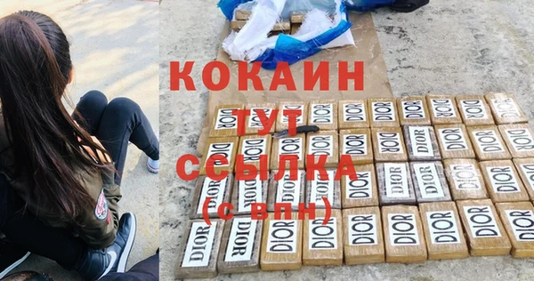 альфа пвп Туринск