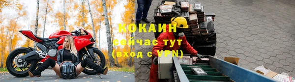 хмурый Арсеньев